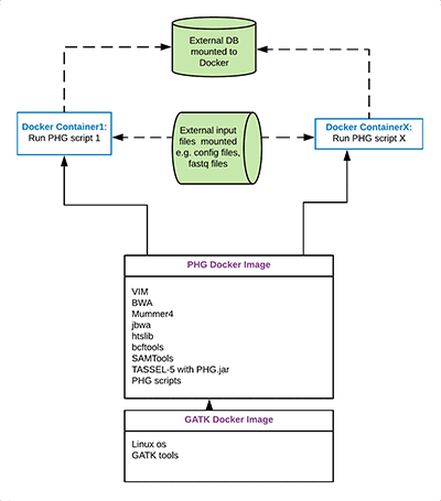 PHG_Docker_Diagram.png