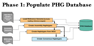 PopulatePHGDatabase.png